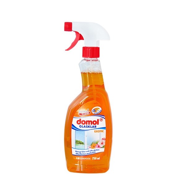 Domol Płyn do Szyb 750ml