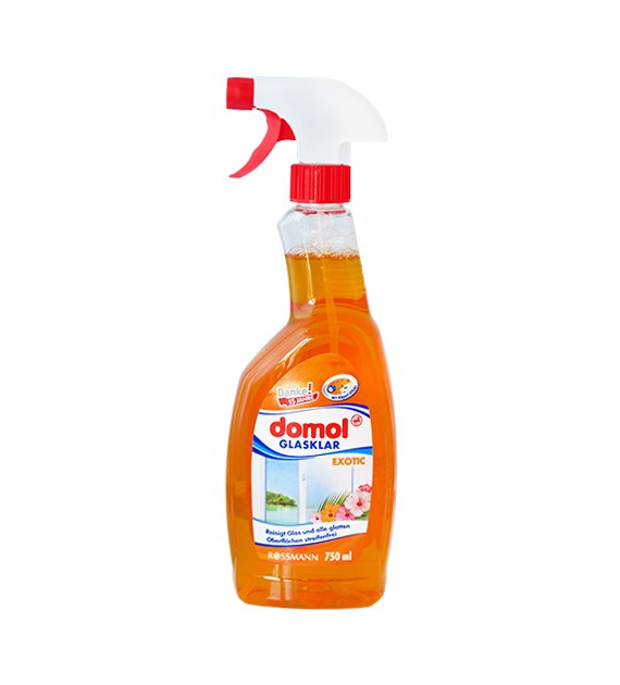 Domol Płyn do Szyb 750ml