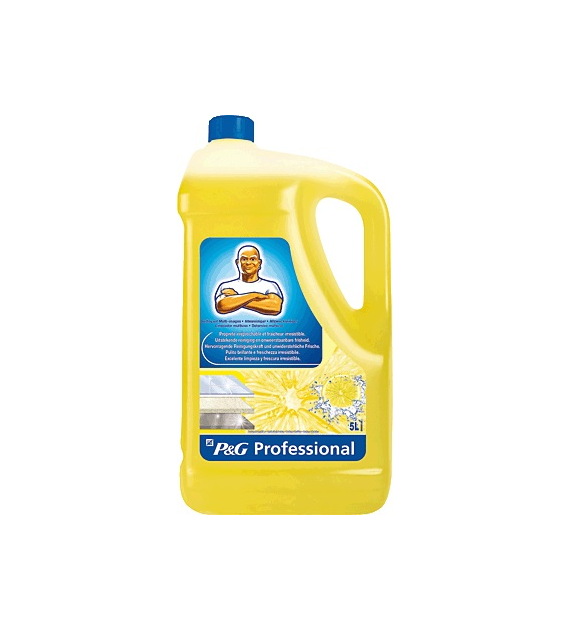 Mr.Proper Citron 5L