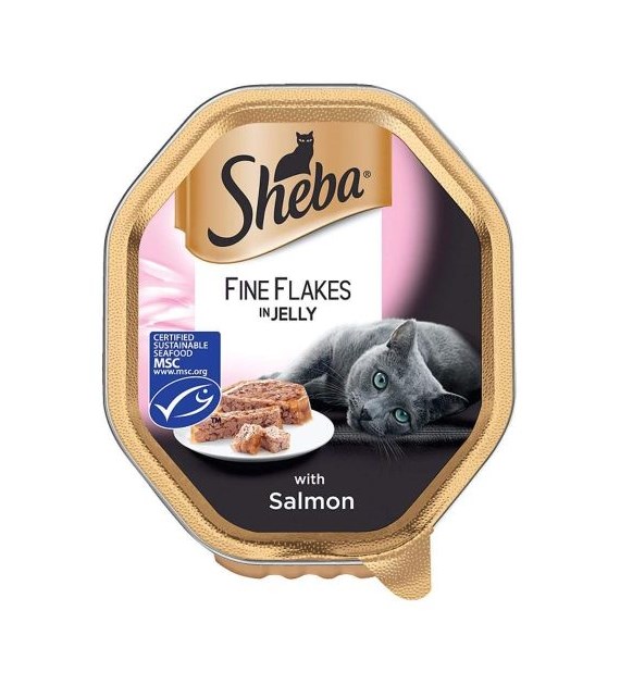 Sheba Fine Flakes in Jelly Salmon dla Kota 85g