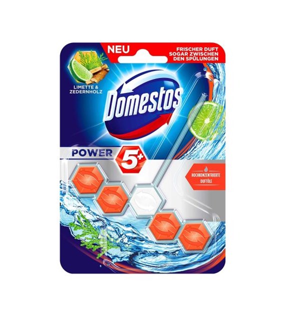 Domestos Power 5 Limette&Zedernholz Zawieszka 55g