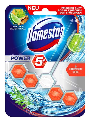 Domestos Power 5 Limette&Zedernholz Zawieszka 55g