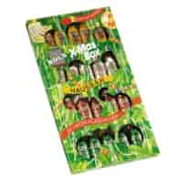 Bols X-Mas Box Hausbar Likor Flaschchen 165g
