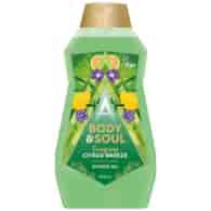 Astonish Body & Soul Citrus Breeze Gel 500ml