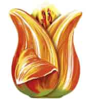 Chelton Ceylon Herbata Lily With Two Puszka 100g