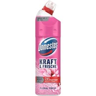 Domestos Kraft & Frische Floral Fresh WC Gel 750ml