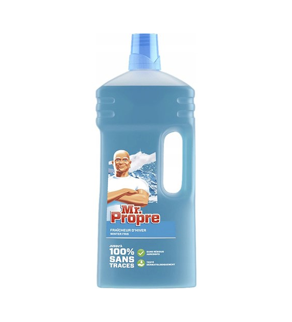 Mr.Propre Winter Fris Płyn 1,3L