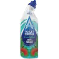 Astonish Toilet Fresh Eucalyptus Gel WC 750ml