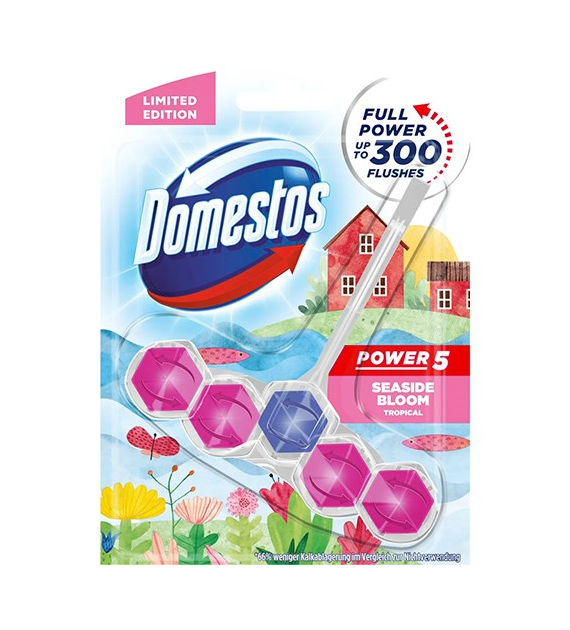 Domestos Power 5 Seaside Bloom Zawieszka WC 55g