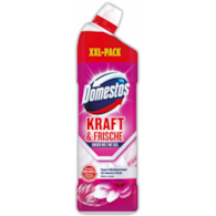 Domestos Kraft & Frische Floral Fresh WC Gel 1L