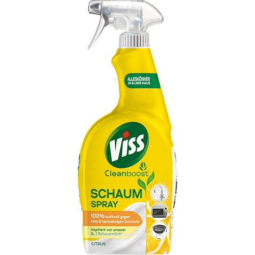 Viss Cleanboost Citrus Schaumspray 750ml