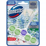 Domestos Power 5 Winter Pine Zawieszka WC 50g