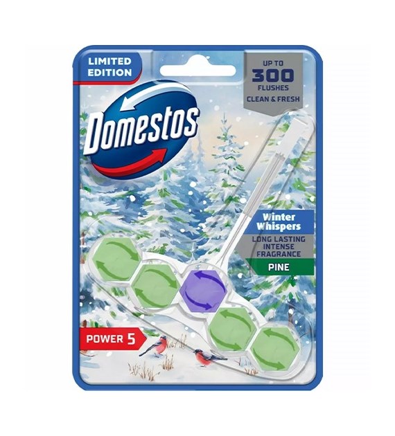 Domestos Power 5 Winter Pine Zawieszka WC 50g