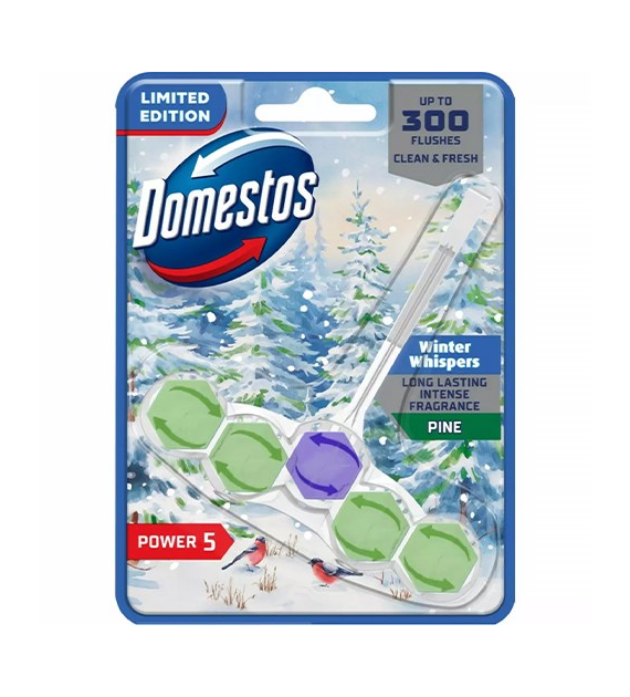 Domestos Power 5 Winter Pine Zawieszka WC 50g