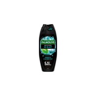 Palmolive Men Ice Blast 5in1 Gel 250ml