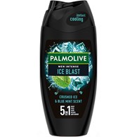 Palmolive Men Ice Blast 5in1 Gel 250ml