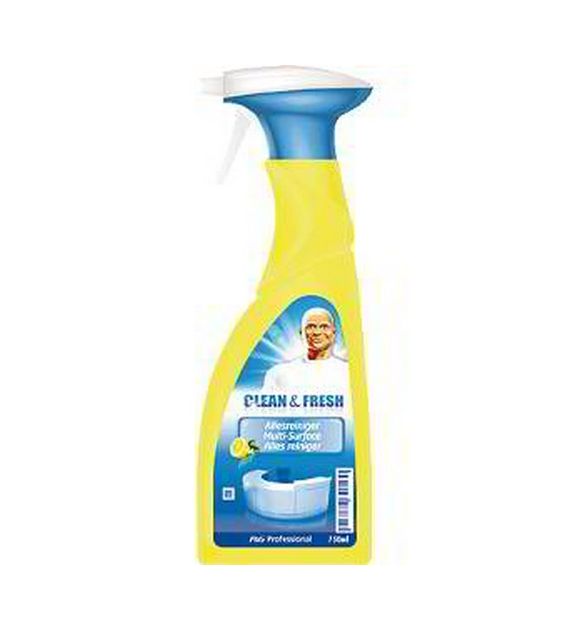 Mr.Proper Allesreiniger 750ml